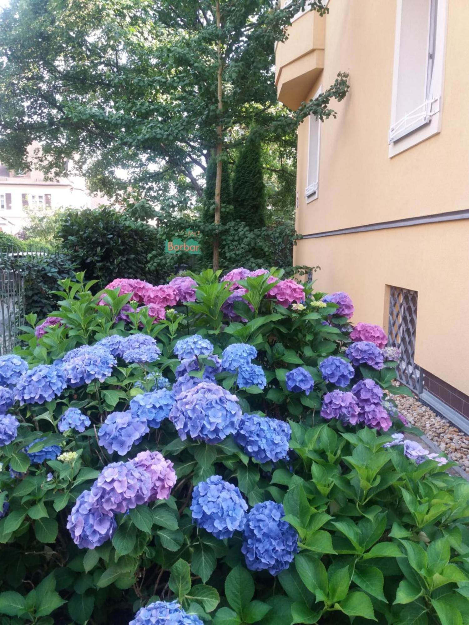 Apartment Barbara Marianske Lazne Luaran gambar
